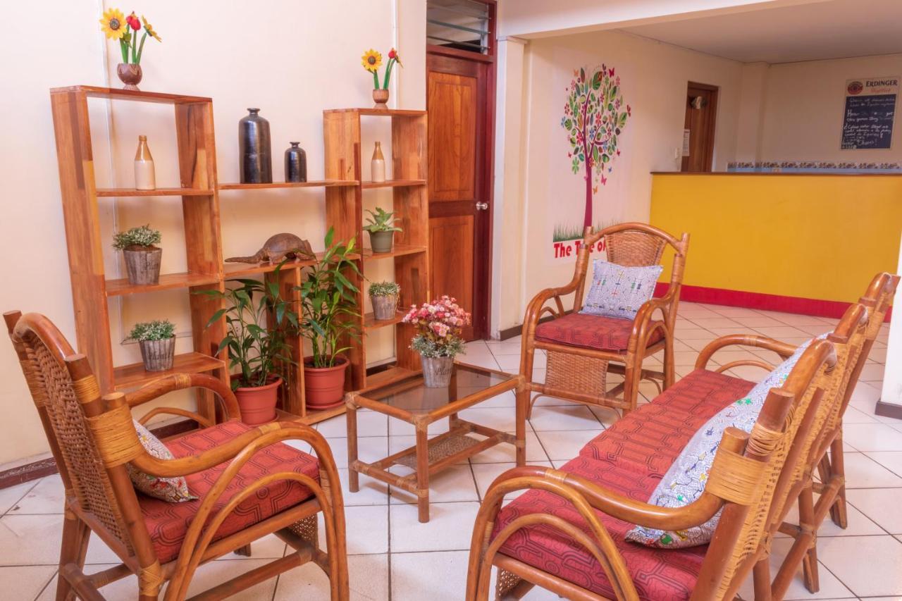 Flying Dog Hostel Iquitos Eksteriør bilde